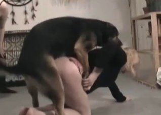 Shepherd and two sexy girls