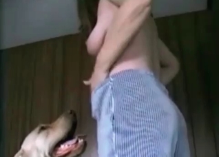 Amazing amateur zoo sex with a dog