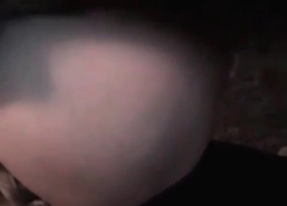 Juicy girl is sucking a doggy dick