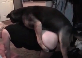 Juicy girl is sucking a doggy dick