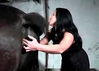 Awesome horse enjoys filthy zoo action