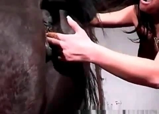 Awesome horse enjoys filthy zoo action