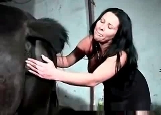 Awesome horse enjoys filthy zoo action