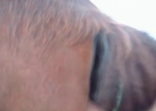 Good animal action with a horse
