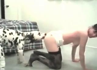 Dalmatian and a hot zoophile slut