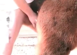 Awesome animal anal sex in close-up