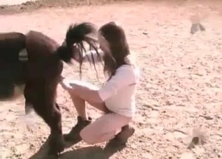 Awesome animal anal sex in close-up