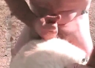Awesome animal anal sex in close-up