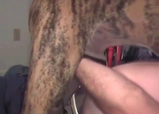 Big dog fucks her snatch so fast