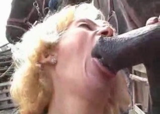 Two girls are sucking a horse