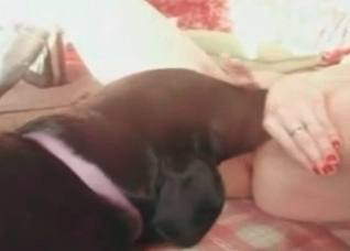 Impressive sex with a nice dog