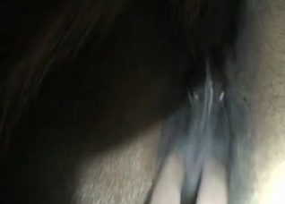 Crazy bestial action in close-up