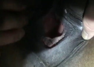 Crazy bestial action in close-up