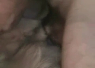 Dog is being drilled so freaking hard