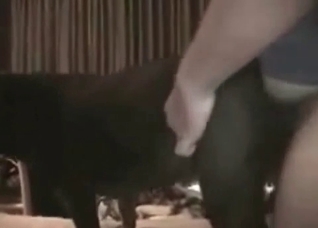 Filthy anal sex with a doggy