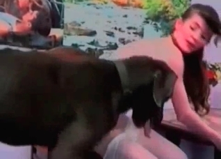Big black Doberman and a zoophiles