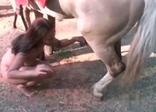 Stunning stallion is getting a head