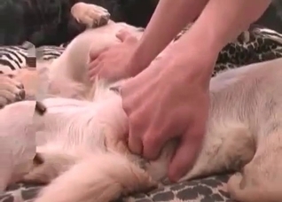 Dog is enjoying a slender girl