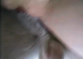 Cute dog want to fuck so much