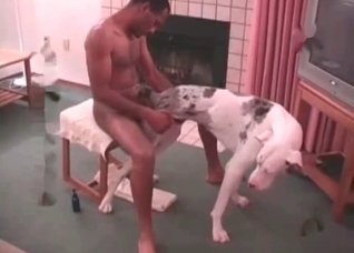 Juicy vaginal sex with an animal