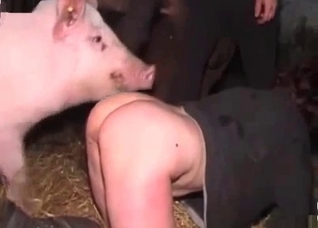 Filthy as fuck amateur bestiality