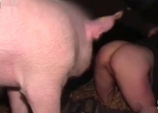 Filthy as fuck amateur bestiality
