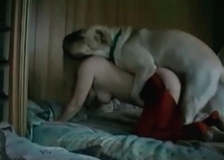 Retriever is enjoying filthy sex