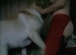 Retriever is enjoying filthy sex