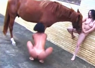 Nasty tanned slut is enjoying zoo sex