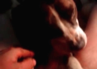 Filthy as hell animal sex with a dog