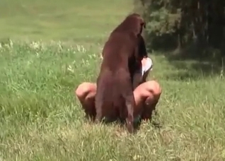 Awesome animal porn in the bedroom