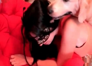 Boxer is enjoying hot zoo porn