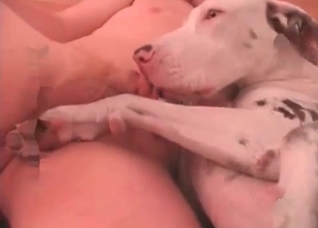 Awesome sex with a cute doggy