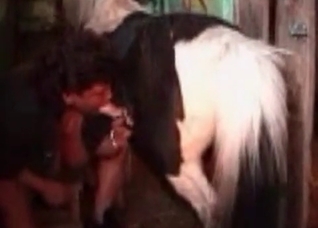 Giant black cock of a stallion