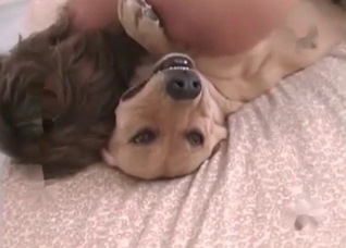 Amazing sex with a small hound