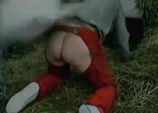 Sweet action with a nice doggy