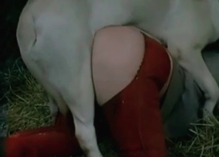 Sweet action with a nice doggy