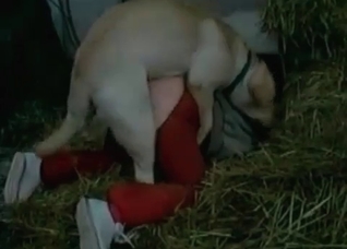 Sweet action with a nice doggy