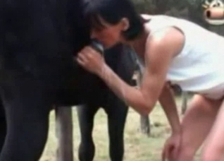 Brunette is sucking a hard horse dick