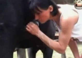 Brunette is sucking a hard horse dick