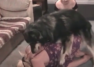 Shepherd fucks a pussy so freaking fast