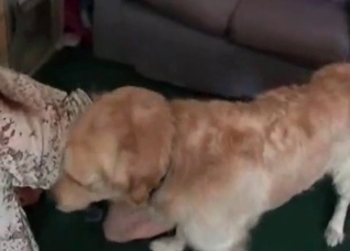 Hiary Retriever is sucking her snatch