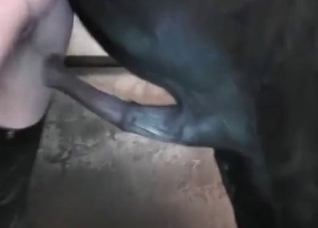 Filthy horse fucks a slutty brunette