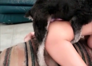 Hot doggy is having a nice zoo sex