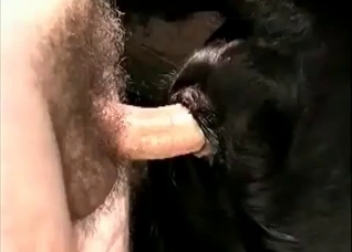 Awesome anal sex with a hot dog