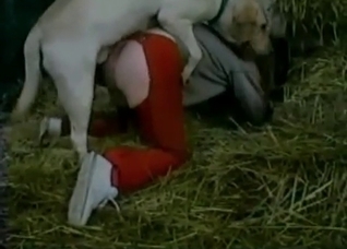 Dirty farm sex with a nice trained pet