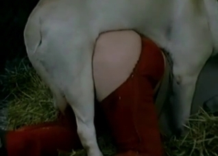 Dirty farm sex with a nice trained pet