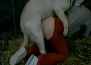 Dirty farm sex with a nice trained pet