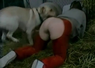 Dirty farm sex with a nice trained pet
