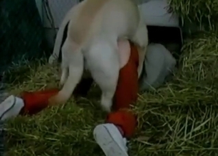 Dirty farm sex with a nice trained pet